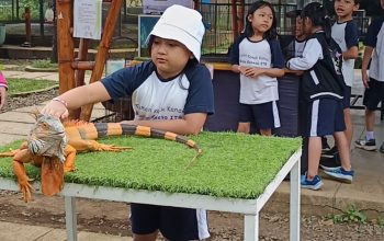 Biarkan Mereka Bertanya: Cerita di Balik Penerapan “Deep Learning” Usia Dini