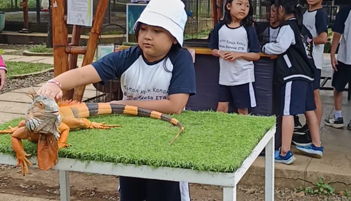 Biarkan Mereka Bertanya: Cerita di Balik Penerapan “Deep Learning” Usia Dini