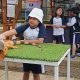 Biarkan Mereka Bertanya: Cerita di Balik Penerapan “Deep Learning” Usia Dini
